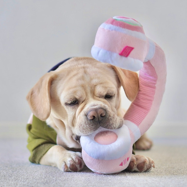 Bailey 嘻哈小狗系列