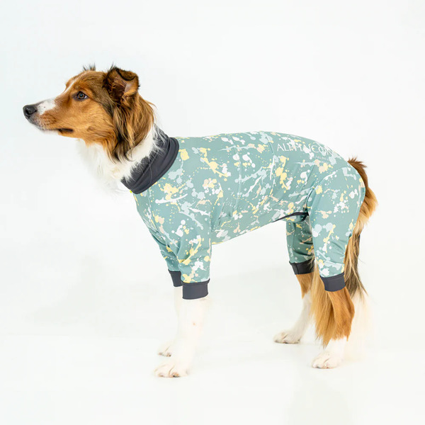 ALPHAICON 2025 全能衣