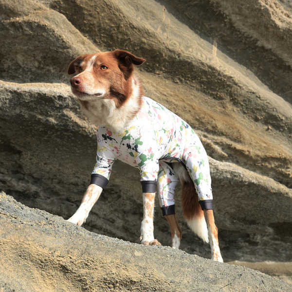 ALPHAICON 2025 全能衣