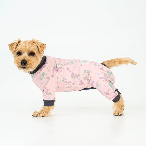 ALPHAICON 2025 全能衣