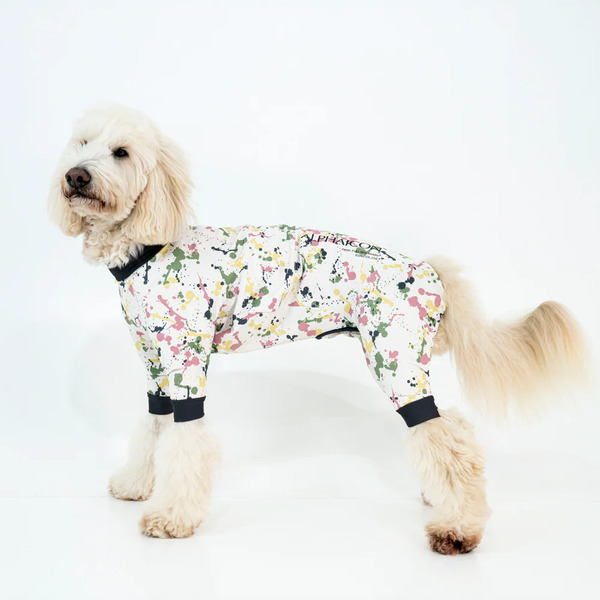 ALPHAICON 2025 全能衣