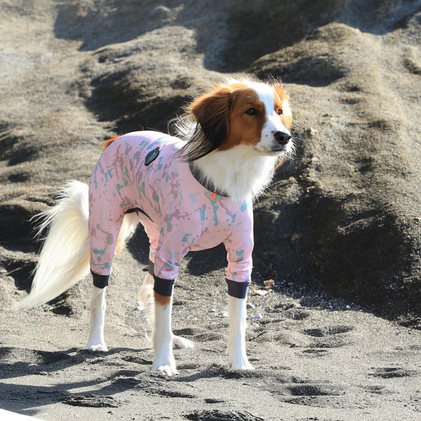 ALPHAICON 2025 全能衣