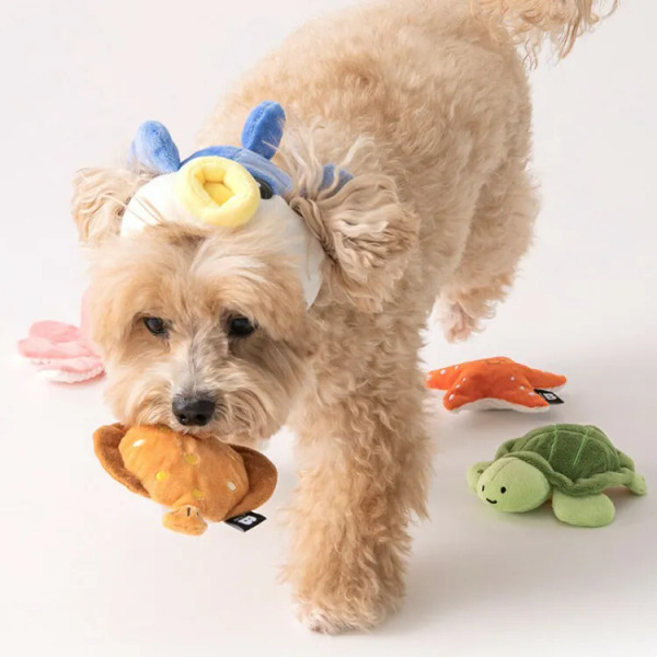 BITE ME 海洋好朋友 海星+海龜2入組 藏食玩具