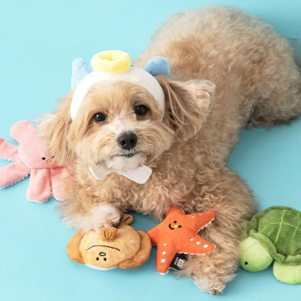 BITE ME 海洋好朋友 海星+海龜2入組 藏食玩具