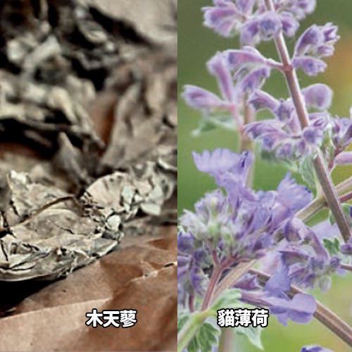 Aumüller 奧咪樂 田園草莓(一組兩入)