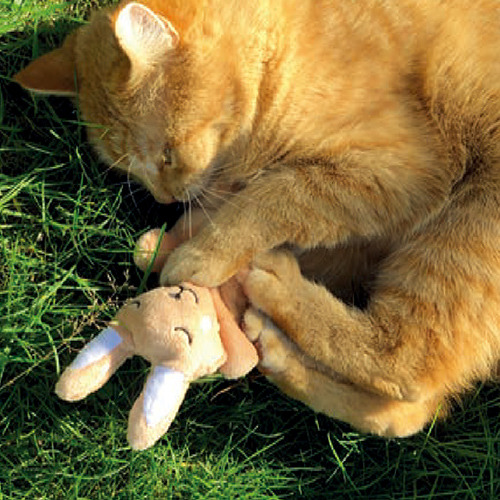 Aumüller 奧咪樂 安眠兔兔