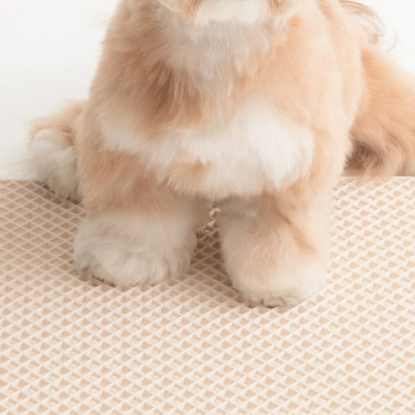 BITE ME 腳不濕尿尿墊