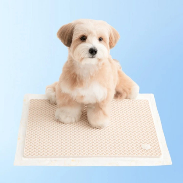 BITE ME 腳不濕尿尿墊