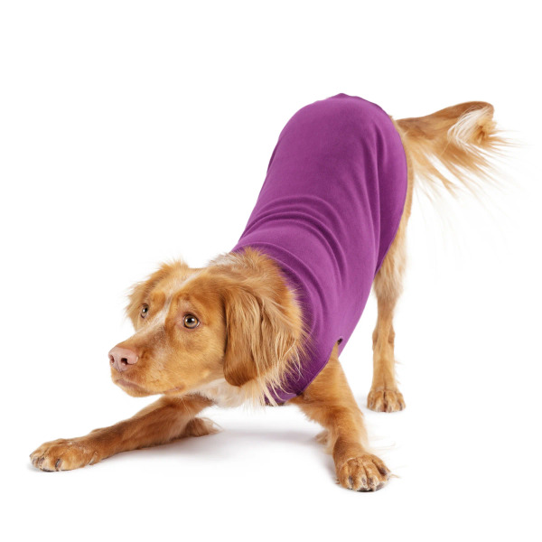 Gold Paw 單層彈性刷毛背心 香茄