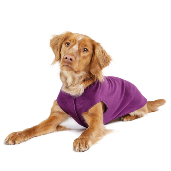 Gold Paw 單層彈性刷毛背心 香茄