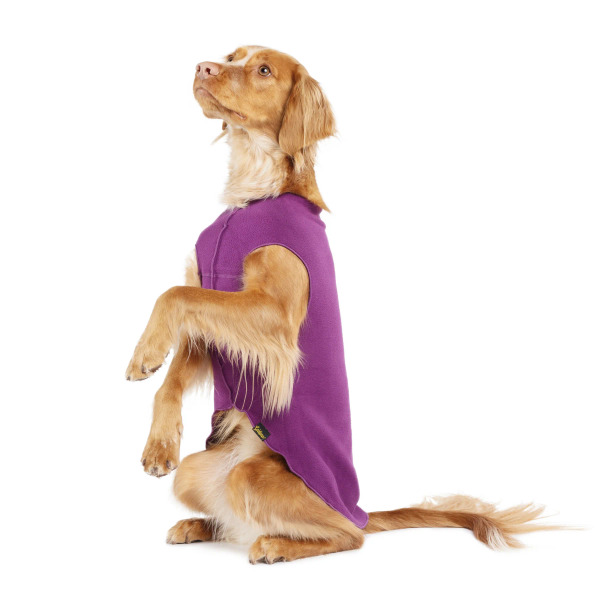 Gold Paw 單層彈性刷毛背心 香茄