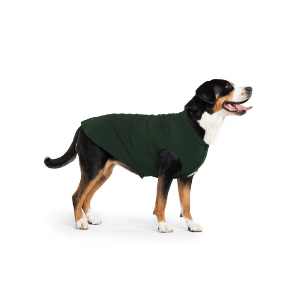 Gold Paw 單層彈性刷毛背心 杉林綠