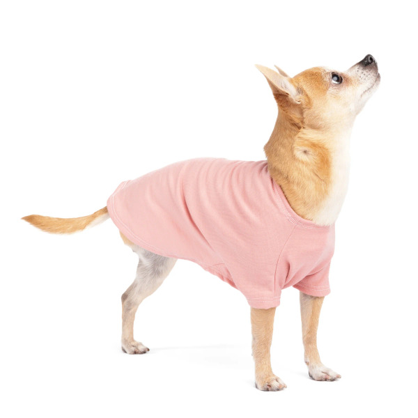 Gold Paw 美麗諾羊毛居家服 沙漠粉