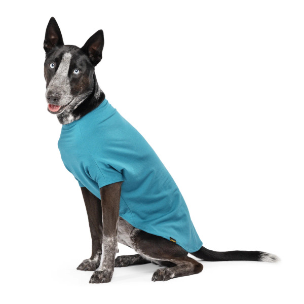 Gold Paw 美麗諾羊毛居家服 湖水藍