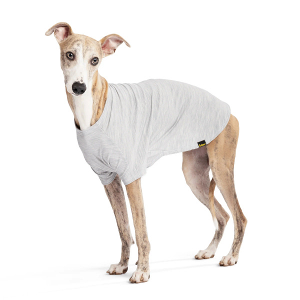 Gold Paw 美麗諾羊毛居家服 礦石灰