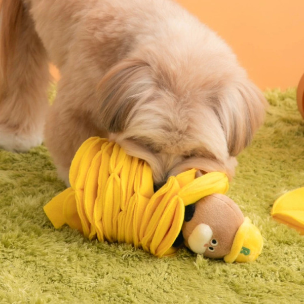 BITE ME 藏藏浣熊 藏食玩具